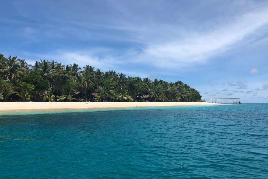daisy, mentawai islands, aloita resort