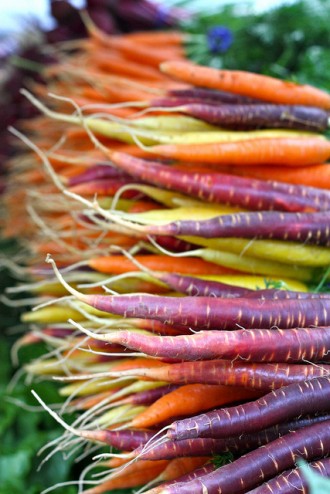 Gekleurde wortels - goedkoop biologisch eten