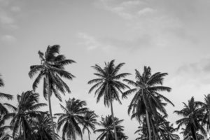 zomerdepressie, mind, somber zomer