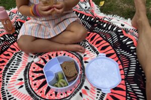 zespri kiwi broodtrommel