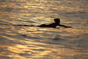 surfen mentawai daisy