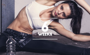 fit twenty six