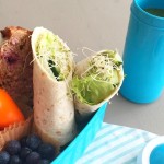 albert heijn lunchtrommel