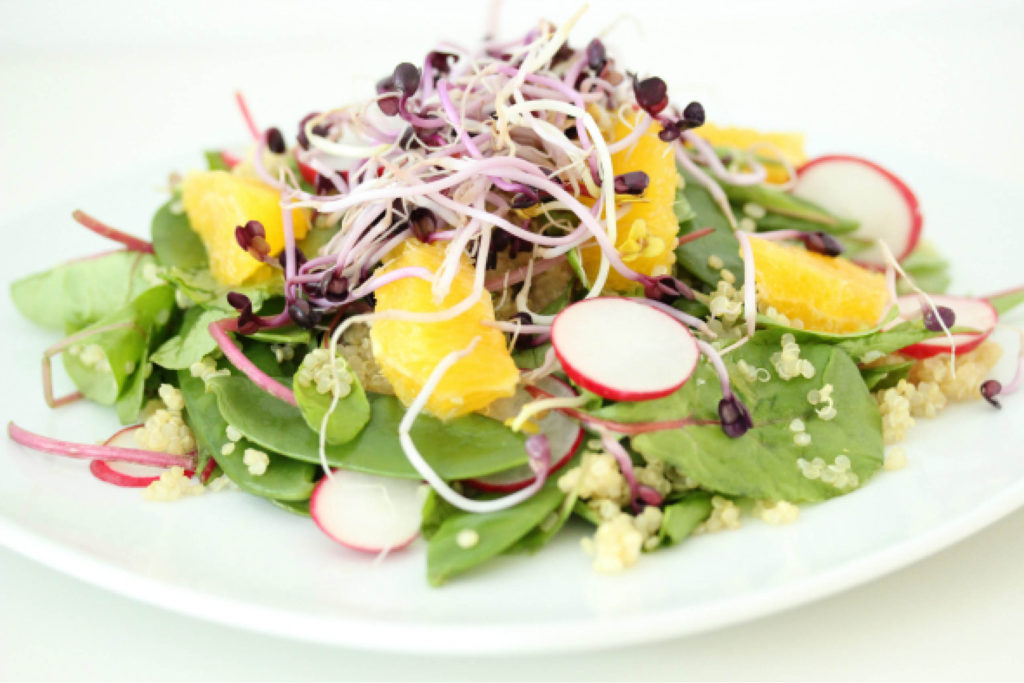kiemen salade, gezond, radijs