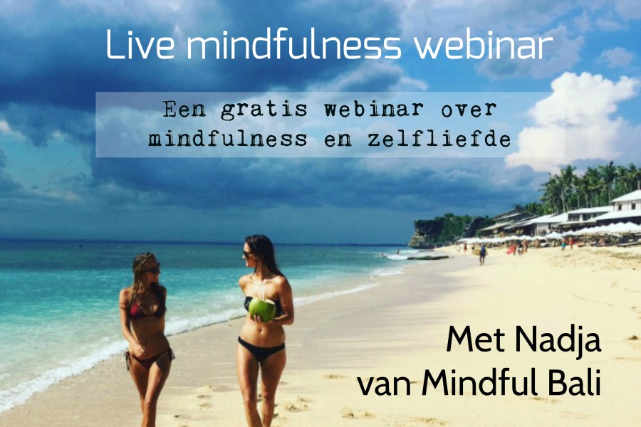 webinar mindfulness klein